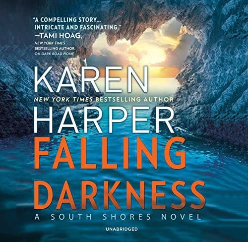 Cover image for Falling Darkness