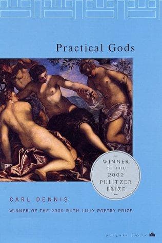 Cover image for Practical gods