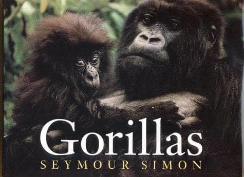 Cover image for Gorillas