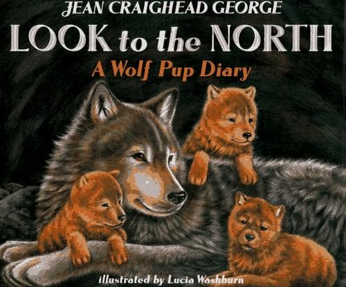 Cover image for Look to the north