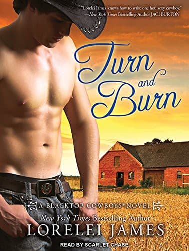 Cover image for Turn and Burn