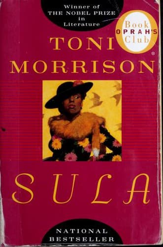 Cover image for Sula (Oprah's Book Club)
