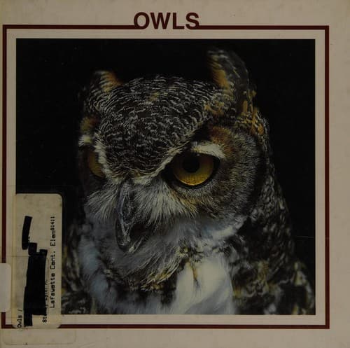 Cover image for Owls