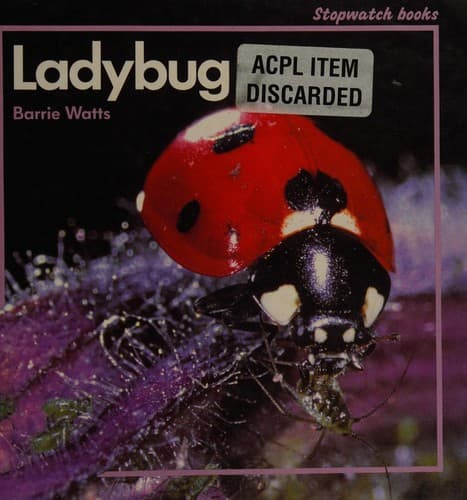 Cover image for Ladybug