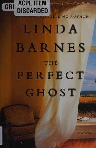 Cover image for The perfect ghost