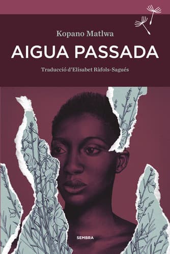 Cover image for Aigua passada
