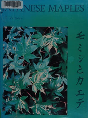 Cover image for Japanese maples