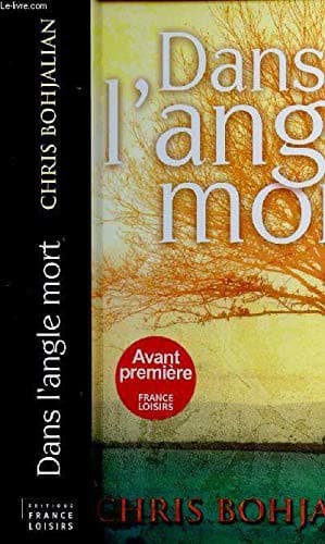 Cover image for Dans l'angle mort
