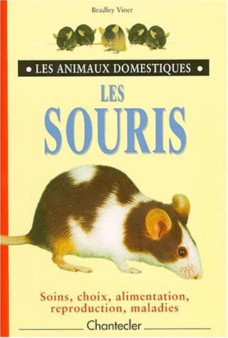 Cover image for Les souris