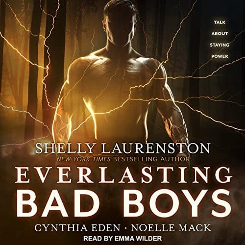 Cover image for Everlasting Bad Boys