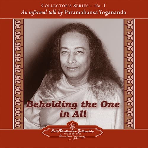 Cover image for Beholding the One in All