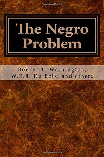Cover image for The Negro Problem