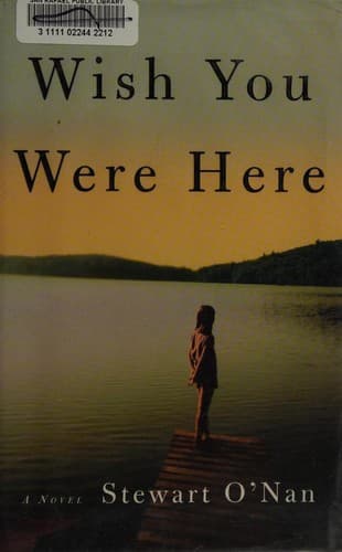 Cover image for Wish You Were Here