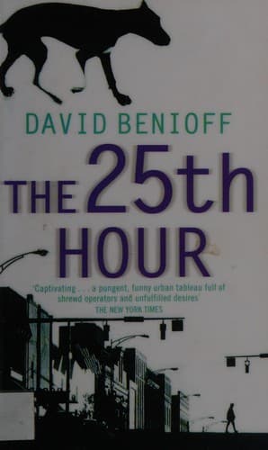 Cover image for The 25th hour