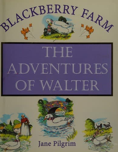 Cover image for The adventures of walter