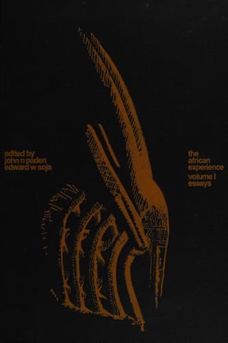 Cover image for The African experience