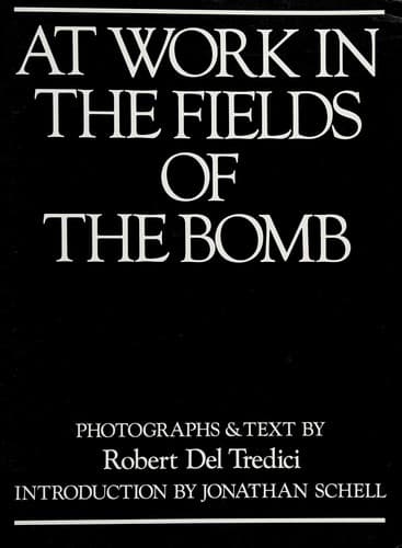 Cover image for At work in the fields of the bomb