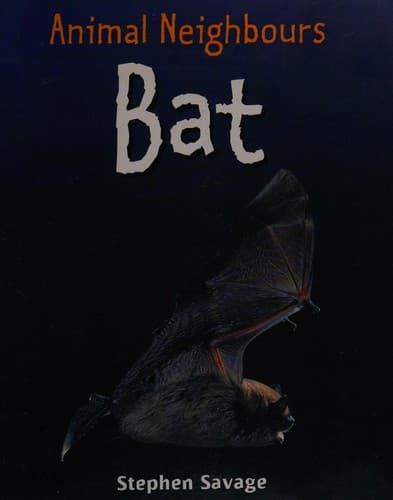 Cover image for Bat
