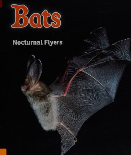 Cover image for Bats