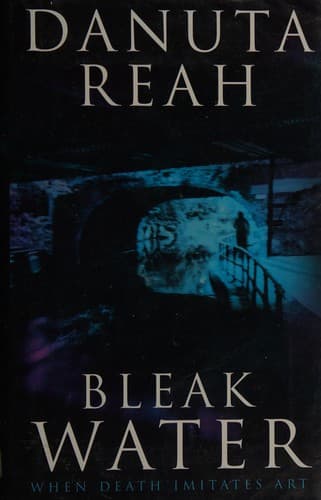 Cover image for Bleak water