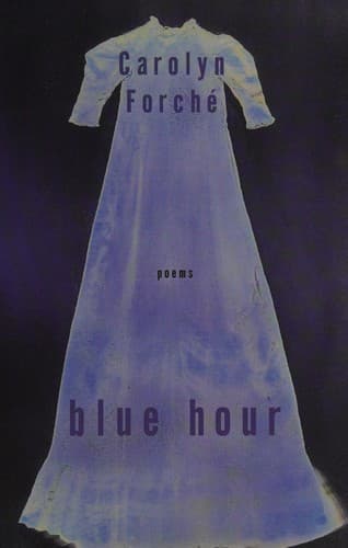 Cover image for Blue hour