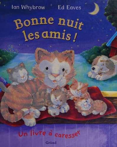 Cover image for Bonne nuit les amis!