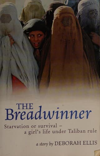 Cover image for The breadwinner