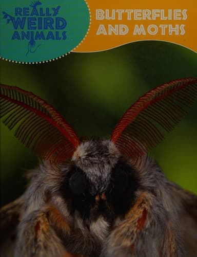 Cover image for Butterflies