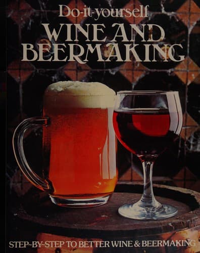 Cover image for The practice of social research