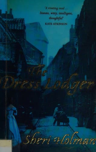 Cover image for The dress lodger