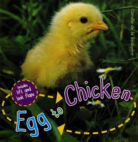 Cover image for Egg to chicken