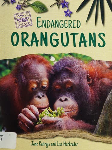 Cover image for Endangered Orangutans