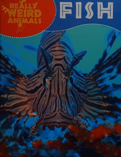 Cover image for Fish