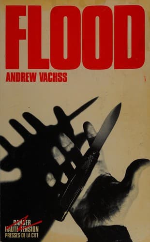 Cover image for Flood