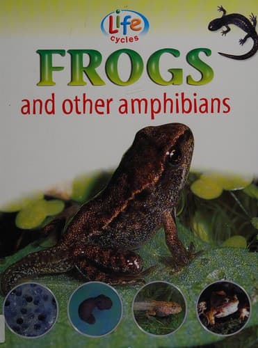 Cover image for Frogs and other amphibians