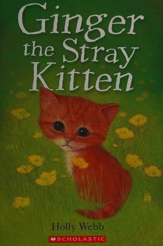 Cover image for Ginger the stray kitten