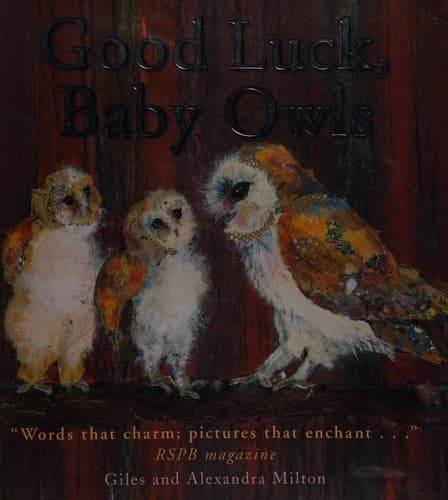 Cover image for Good luck baby owls