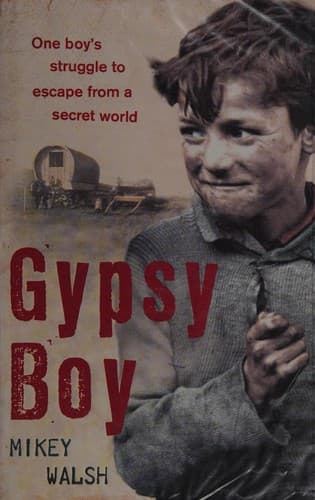 Cover image for Gypsy boy