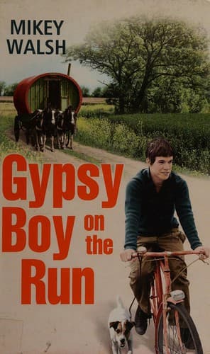 Cover image for Gypsy boy on the run