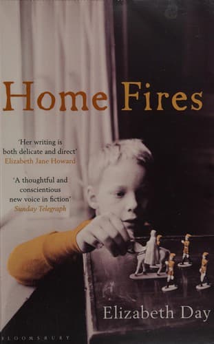 Cover image for Home fires