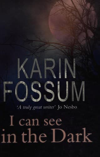 Cover image for I Can See In The Dark