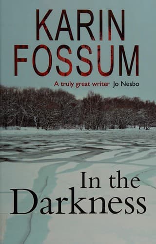 Cover image for In the darkness