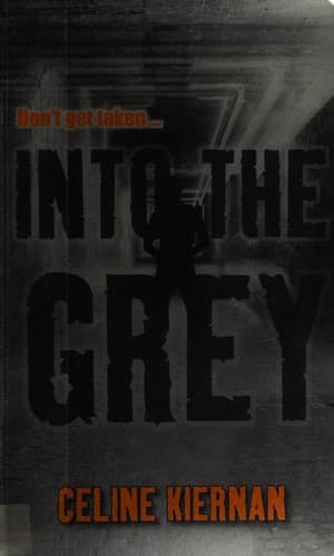 Cover image for Into the grey