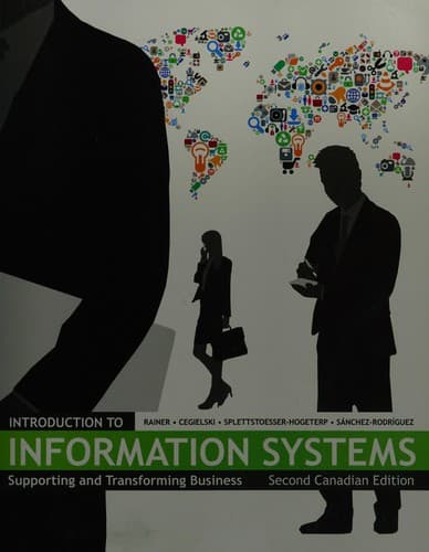 Cover image for Introduction to information systems