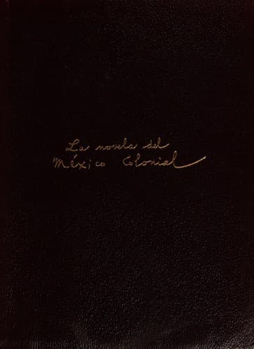 La novela del México colonial