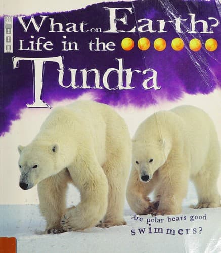 Cover image for Life in the tundra