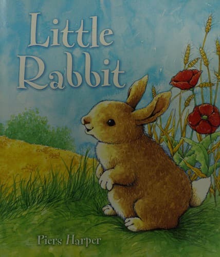 Cover image for Little Rabbit