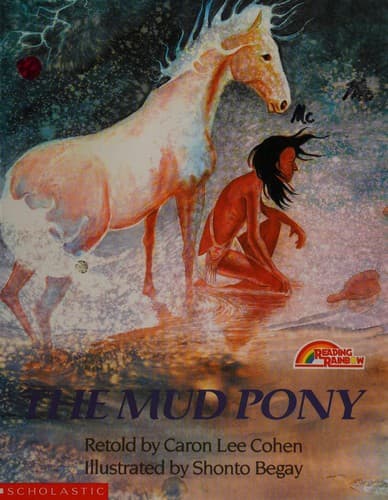 Cover image for The mud pony