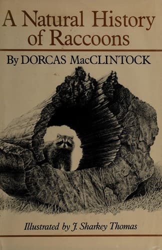 Cover image for The sharp end