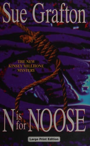 Cover image for N is for noose